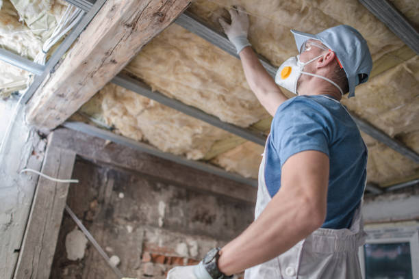 Best Residential Insulation in Mountain Lake Park, MD