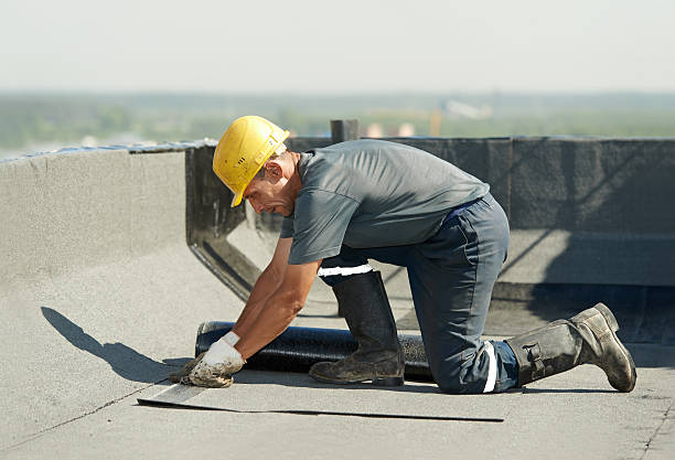 Best Specialized Insulation Services in Mountain Lake Park, MD